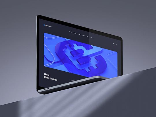 Hero image of Bitcoin Casinos website for Elevated Leads